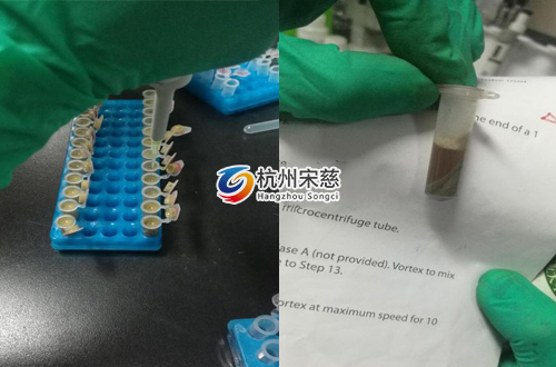 <a href=http://www.rongyipiao.cn/prouduct/lengdong/ target=_blank class=infotextkey>冷凍研磨儀</a>